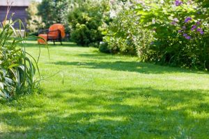 travaux jardin et paysage Oger